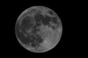 IMG_3251x