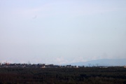 IMG_7117x