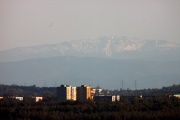 IMG_7123x